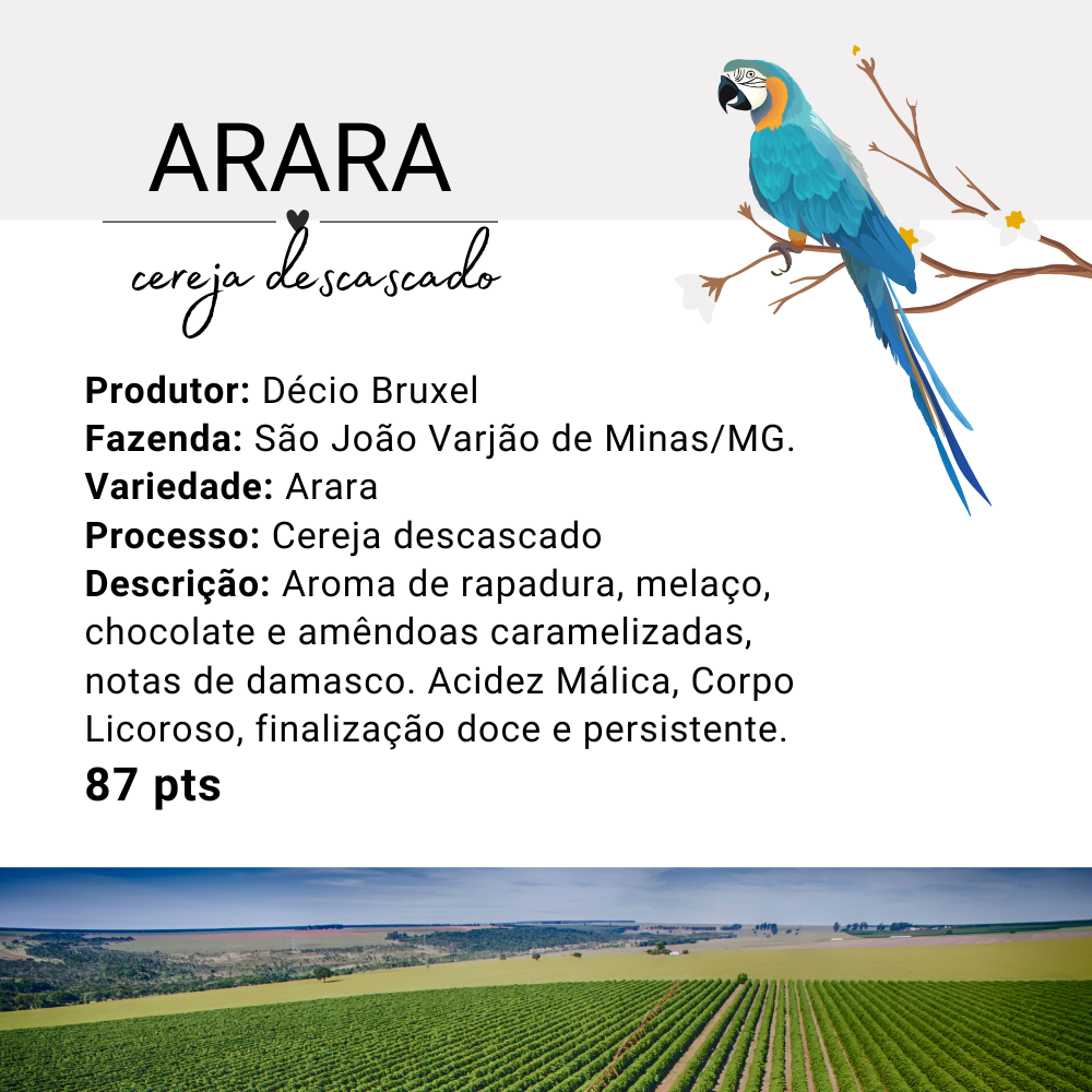 Café Arara Cereja Descascado em Grãos 250G - Sofisticação e Sabor